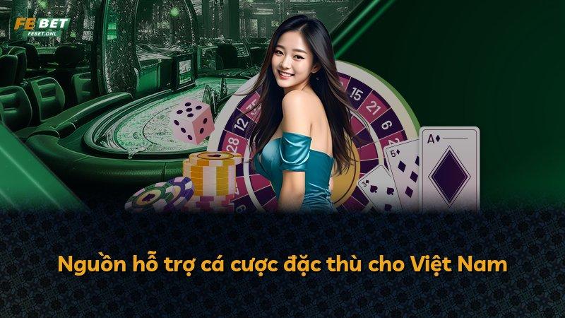 Nguồn hỗ trợ cá cược đặc thù cho Việt Nam